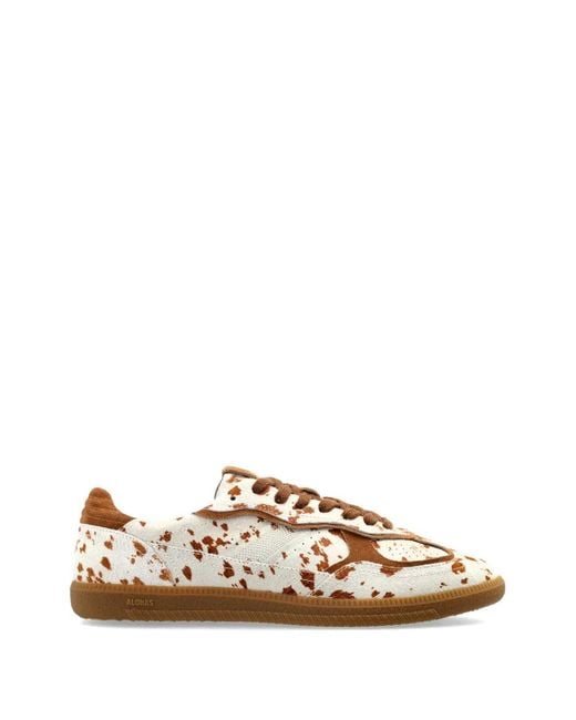 Alohas White Baskets Tb.490 À Lacets for men
