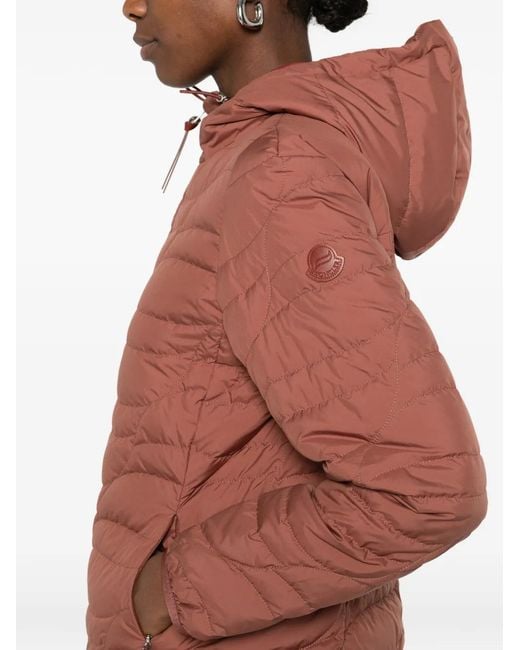 Moncler Gewatteerd Donsjack in het Red