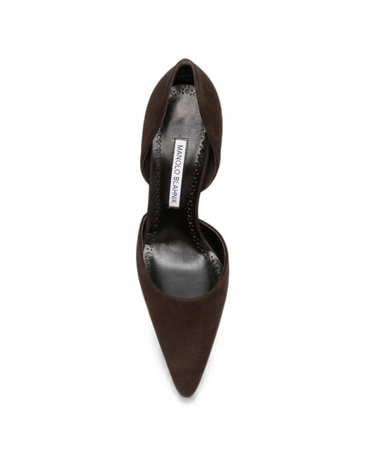 Manolo Blahnik Brown Taylernu Pointed-Toe Pumps