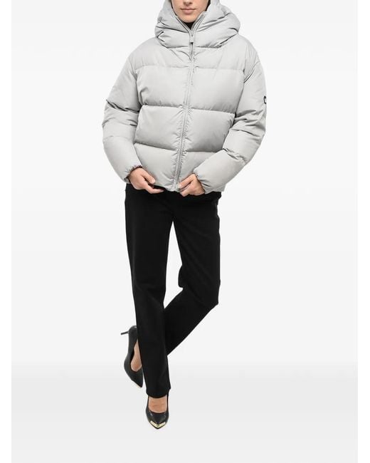 Bacon Gray Cloud Quilted Jacket