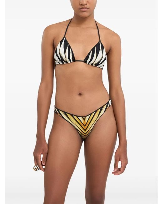 Roberto Cavalli Natural Ray Of-Print Bikini Bottoms