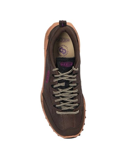 Keen Brown Jasper Zionic Leather Low-Top Sneakers