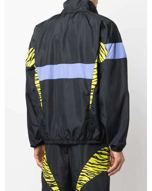 Moschino Blue Panelled Zebra Windbreaker for men