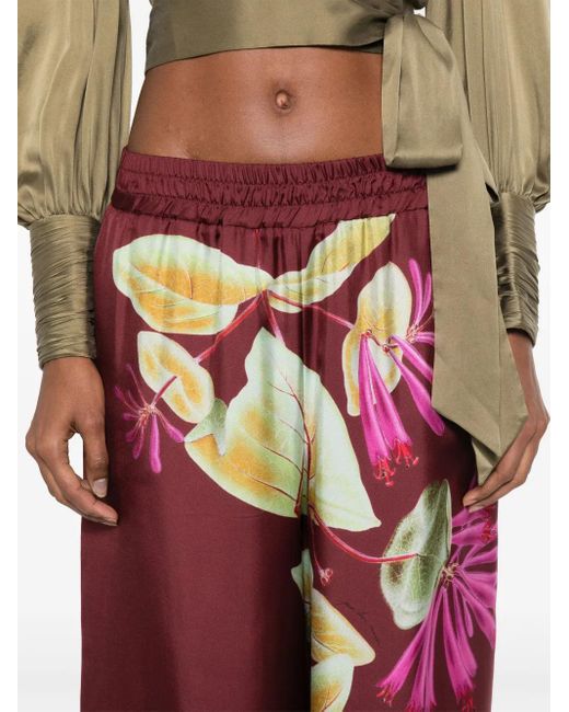 Pierre Louis Mascia Broek Met Bloemenprint in het Purple