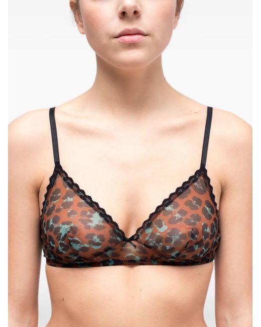 Laura Urbinati Brown Soutien-Gorge À Imprimé Léopard En Mesh