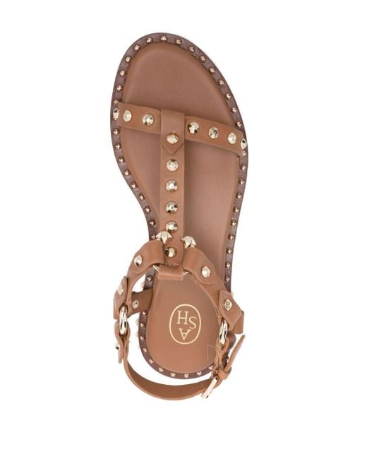 Ash Brown Stud-embellished Leather Sandals