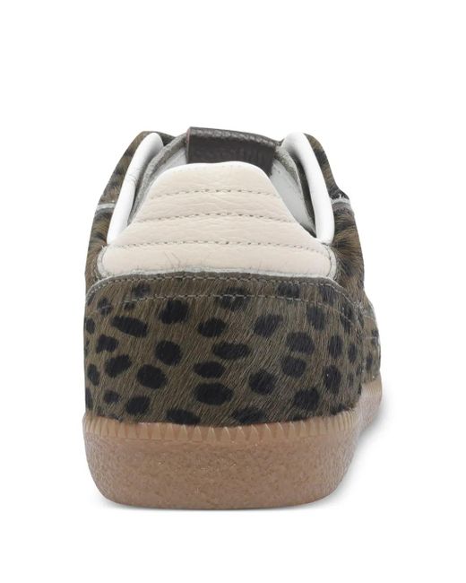 Alohas Brown Tb.490 Leopard-Print Low-Top Sneakers