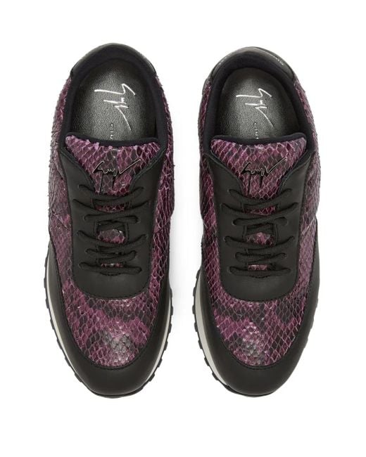 Giuseppe Zanotti Brown Jimi Snakeskin Leather Sneakers