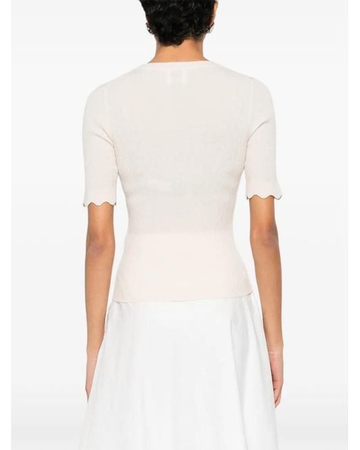 Allude White Button Ribbed Knitwear
