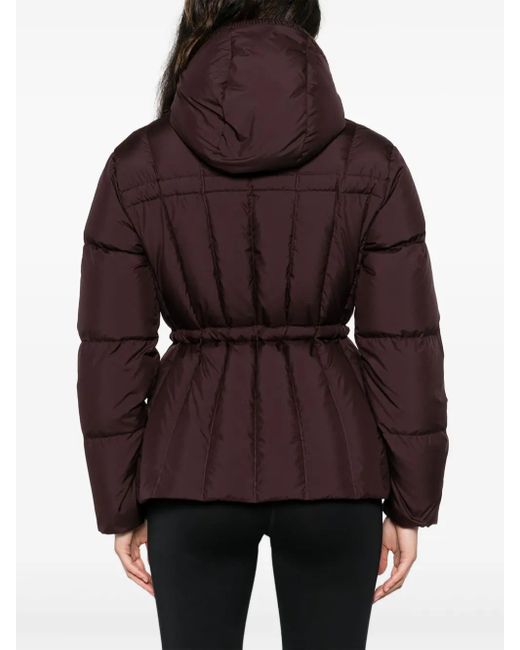 Moncler Purple Hooded Zip-Up Jacket