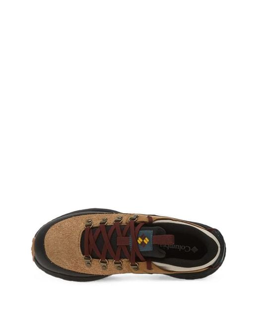 Columbia Brown Terrastride Bc Panelled Sneakers