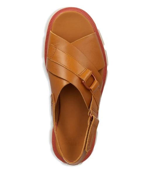 Sorel Brown Rein Cb Sandals
