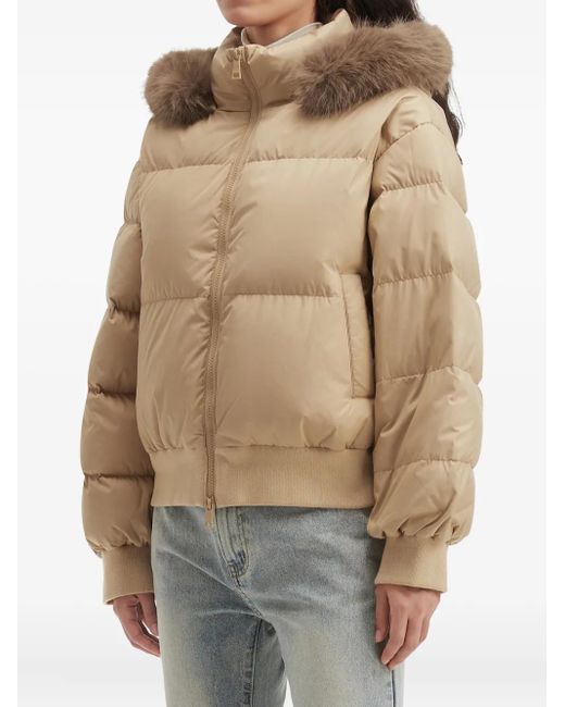 B+ AB Natural Hooded Puffer Jacket