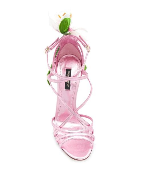 Dolce & Gabbana Pink Kiera Lily-embroidered Sandals
