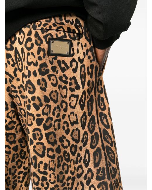 Dolce & Gabbana Shorts Met Luipaardprint in het Brown voor heren