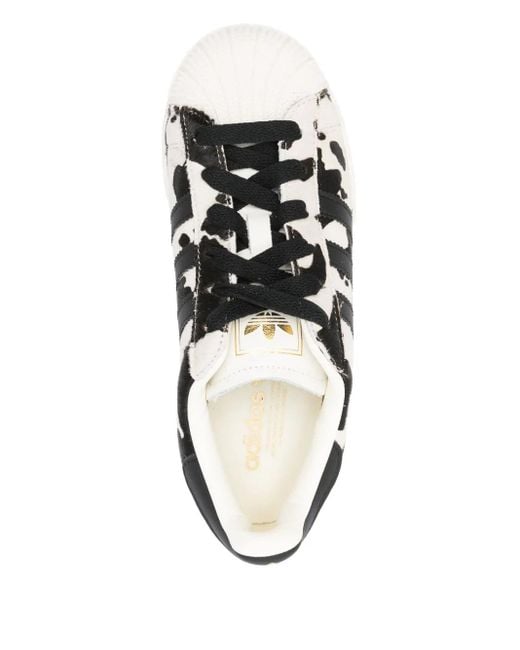 Adidas Superstar Sneakers Met Dierenprint in het Black