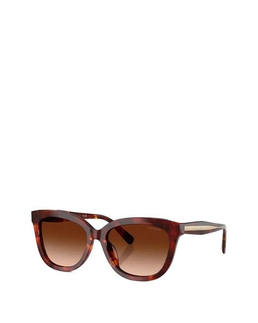 COACH Brown Tortoiseshell-Effect Cat-Eye Sunglasses