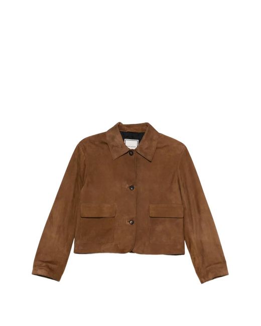 Tagliatore Brown Valerie Suede Jacket
