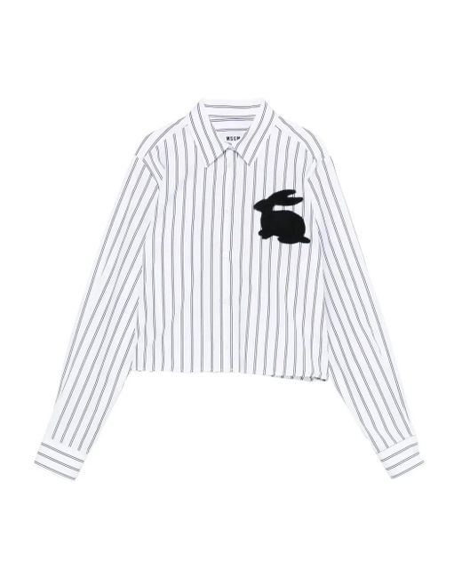 Camicia A Righe di MSGM in White