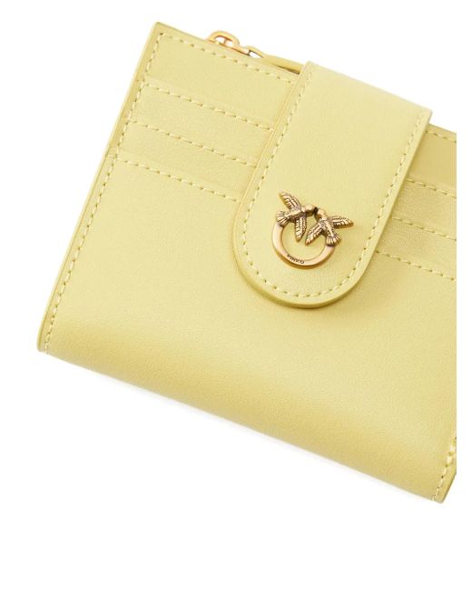Pinko Metallic Klassisches Kartenetui