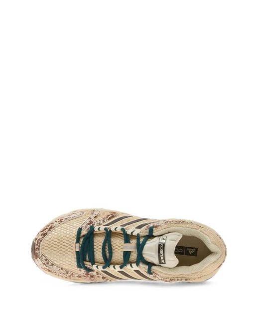 Adidas Natural Adistar Control 5 Sneakers