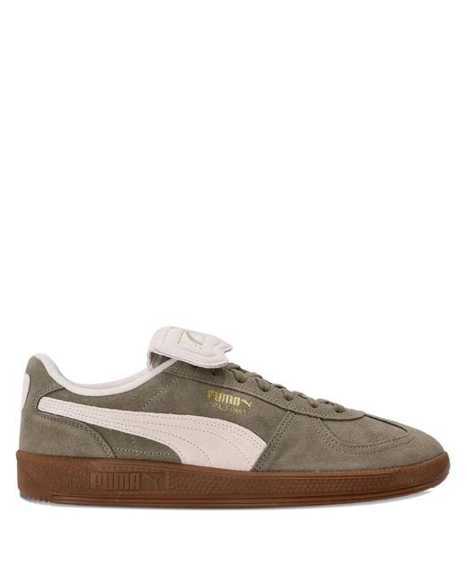 PUMA Brown Palermo Sneakers for men