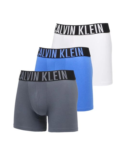 Calvin Klein Boxershorts Mit Logo-Bund (3Er-Set) in Blue für Herren