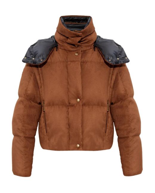 Moncler フーデッド パデッドジャケット Brown