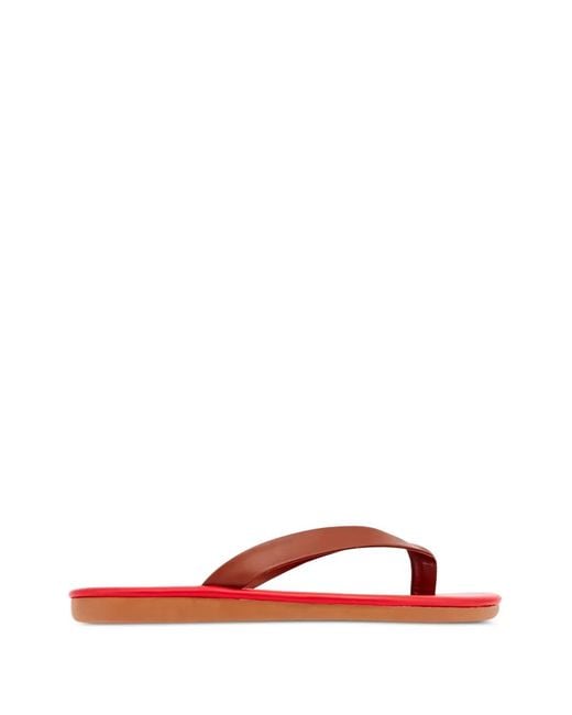 Ancient Greek Sandals Red Saionara Leather Sandals