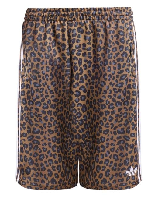 Adidas Brown Leopard-Print Shorts for men