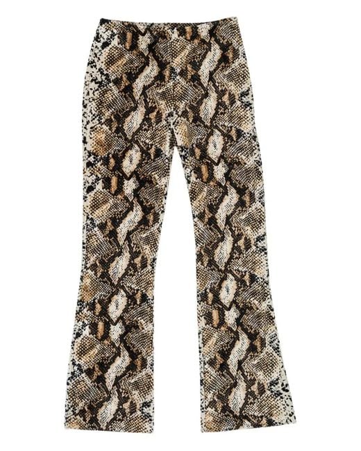 CALLIPYGIAN Brown Snake-Print Flared Trousers