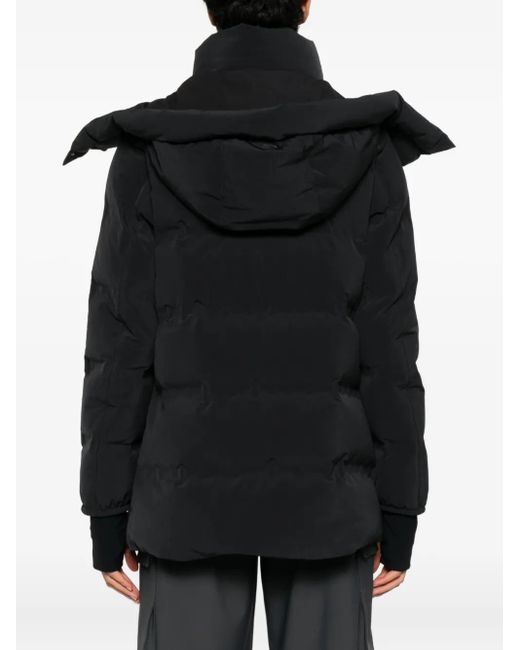 Herno Black Hooded Zip-Up Jacket