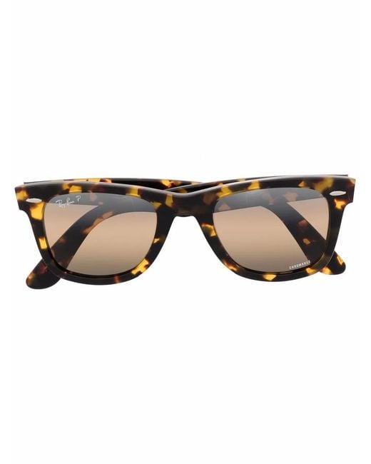 Ray-Ban Brown Tortoiseshell Wayfarer Sunglasses