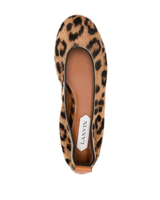 Lanvin Brown Leopard-print Ballerina Shoes