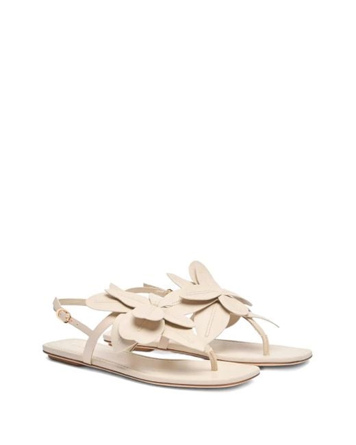 Stuart Weitzman Natural Paradise Sandals
