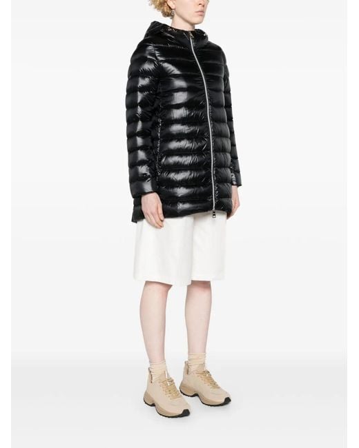 Herno Black Coats