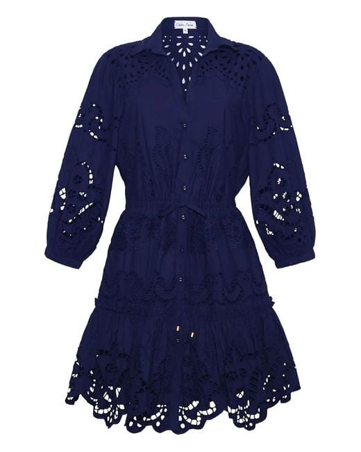 Cara Cara Robin Mini-Jurk in het Blue