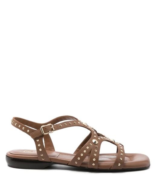 Ash Brown Ruby Sandals