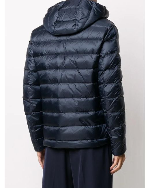 Blauer Blue Hooded Puffer Jacket for men