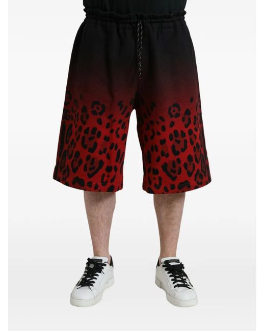 Dolce & Gabbana Red Leopard-Print Ombré Shorts for men