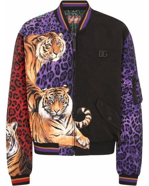 menos conciencia Hola Chaqueta bomber con tigre estampado Dolce & Gabbana de hombre de color  Negro | Lyst