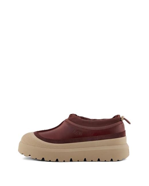 Ugg Brown Tasman Weather Hybrid Sneakers for men
