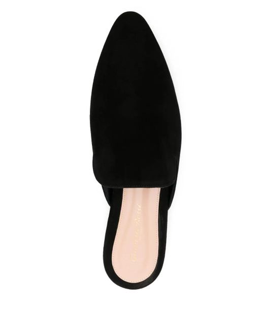 Gianvito Rossi Black Nubuck Mules