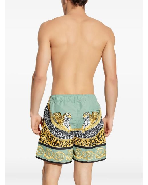 Versace Shorts Met Tijgerprint in het Green voor heren