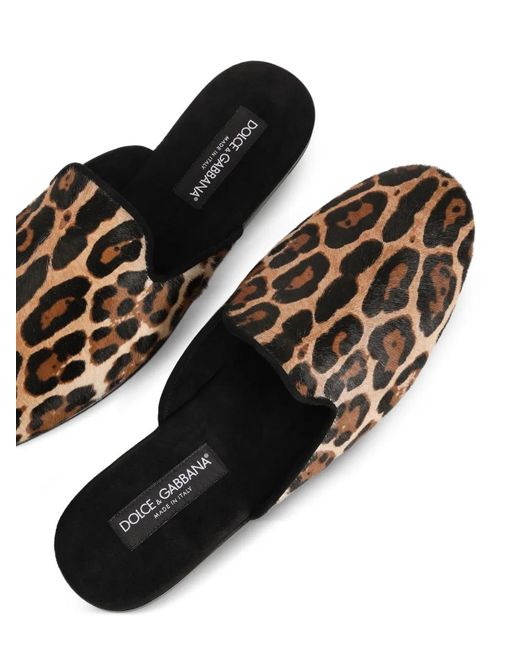 Dolce & Gabbana Brown Leo-Print Pony Slippers for men
