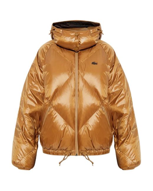 Lacoste Brown Hooded Quilted Jacket