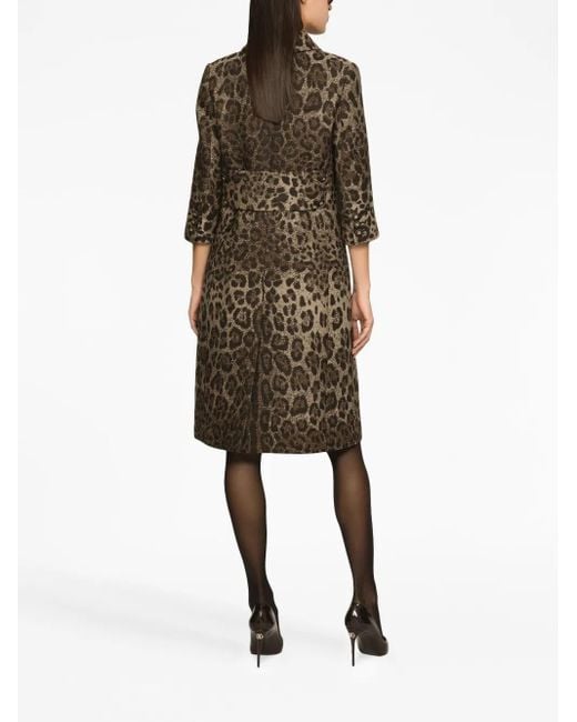 Dolce & Gabbana Brown Leopard Print Wool Mini Dress