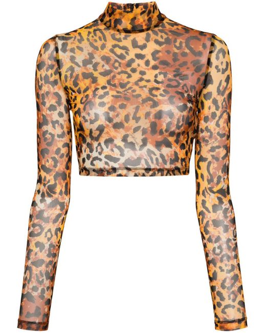 Just Cavalli Orange Leopard-print Cropped Top