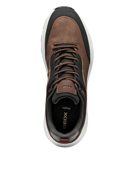 Geox Brown Logo-Plaque Sneakers for men