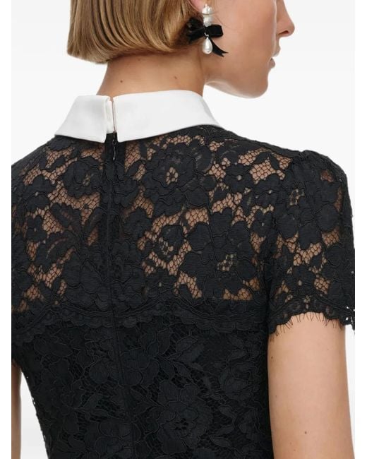 Self-Portrait Black Lace Contrast Collar Midi Dress